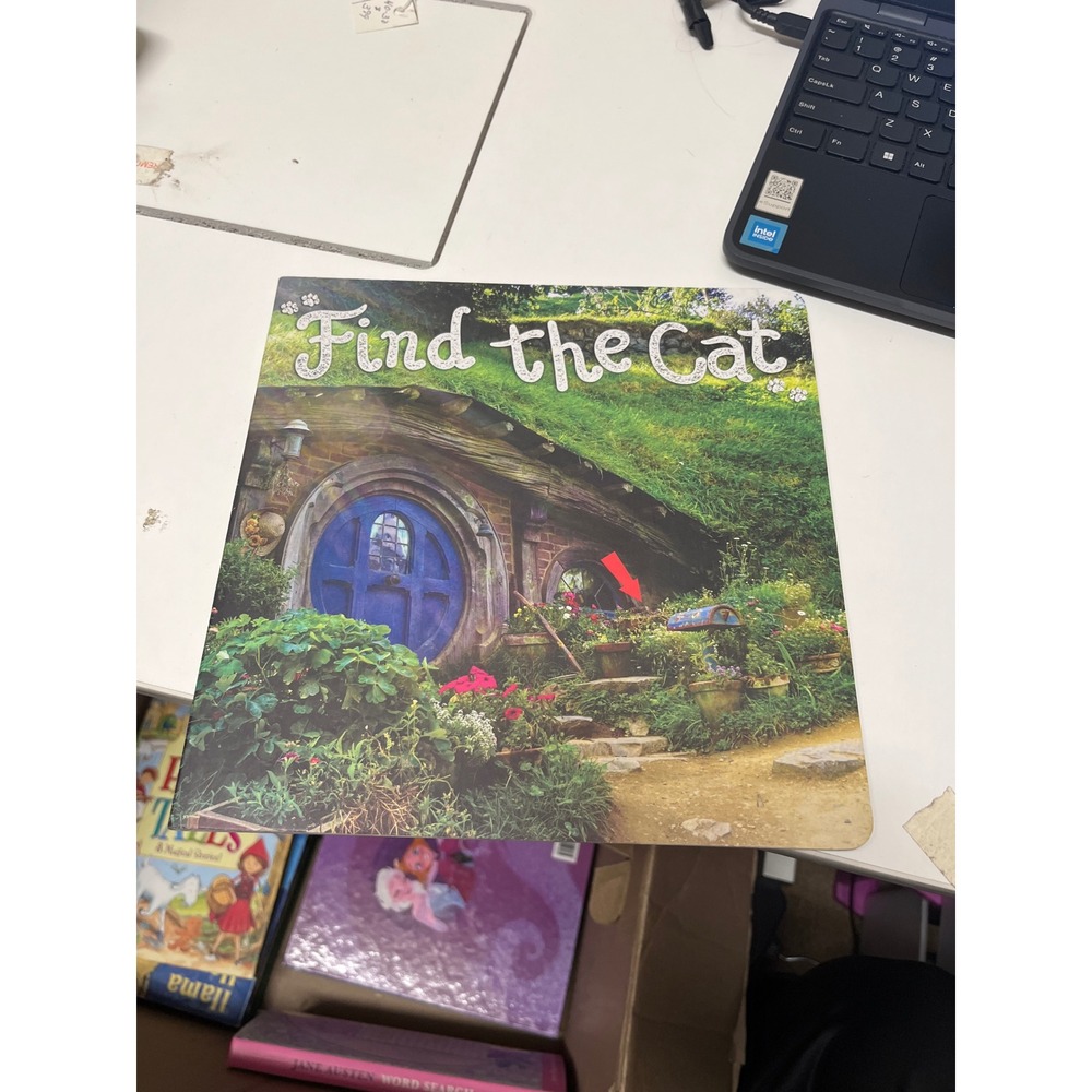 Find the Cat Hidden Object Photography Book Piccadilly‎ Travel Scenery Puzzle